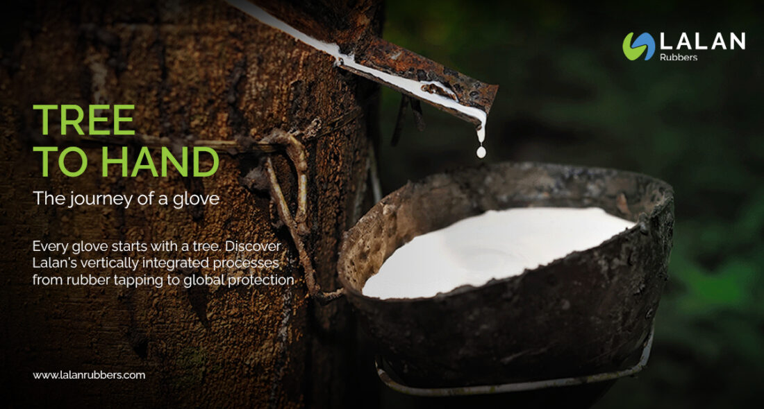 Tree to Hand: The Journey of a Glove